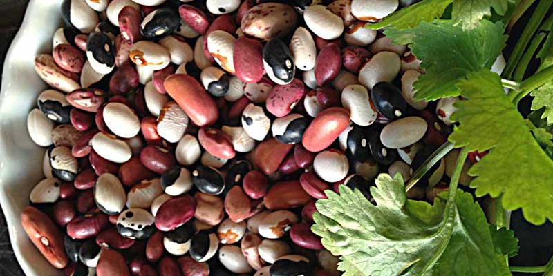 Beans at Hudson Food Cupboard